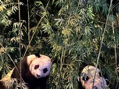 -天津自然博物馆