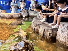 -重庆欢乐海底世界