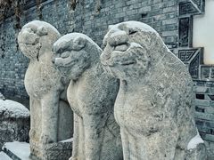 -莲池书院博物馆