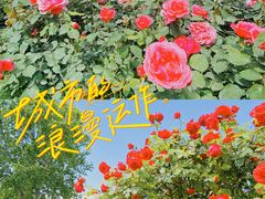 -睦南公园