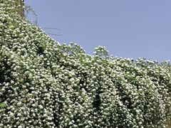 -府河摄影公园