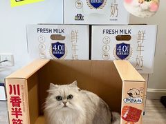 -盒马X会员店(上海森兰商都店)