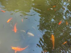 -南山植物园