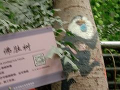 -呀路古热带植物园