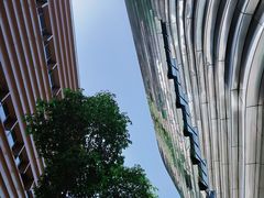 环境-四川宋瓷博物馆