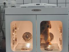 -BABIT巴比特宠物(MOMOPARK店)