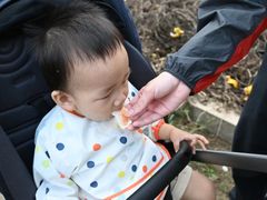 -前小桔亲子创意农场·草莓采摘·露营烧烤