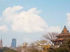-顺峰山公园