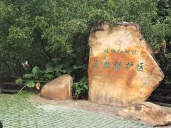 -福田红树林生态公园