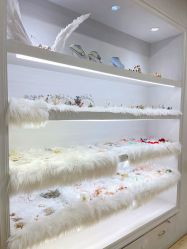 -芳妮豆丁家庭影像馆(宝安店)