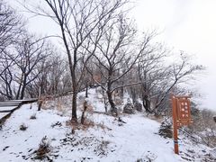 -帽儿山国家森林公园