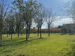 -北京大葆台遗址博物馆