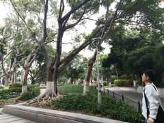 -鼓浪屿内厝澳码头(轮渡站)