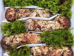 -三锅莊·牦牛肉火锅·香格里拉特色藏餐宴请餐厅(昆明创始店)