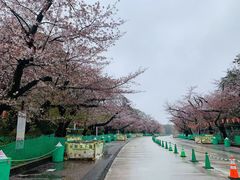 -学习谷日语培训日本留学·多语种外语教学(西单宣武分部)