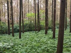 -上海怡沁园度假酒店