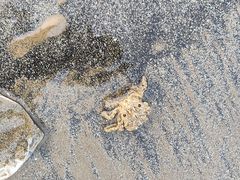 -珠海金沙滩