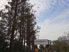 -上海长兴岛郊野公园