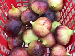 -武汉世外桃源农庄