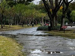 -上海方塔园