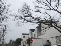 -东梓关景区村庄