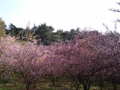 -雨花台烈士纪念馆
