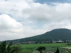 -蔺大妈松花糕