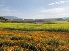 -光明小镇欢乐田园