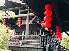 -大唐贡茶院