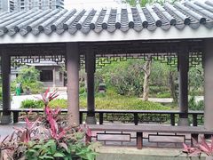 -大亚湾红树林城市湿地公园