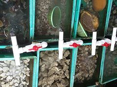 android_upload_pic-蓝湾碧波·老字号·疍家非遗海上餐厅