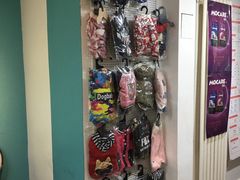 -派多格宠物·购宠(靛厂路店)