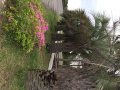 iphone_upload_pic-柱状节理带