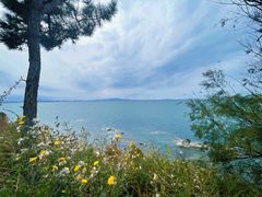 -养马岛旅游度假区