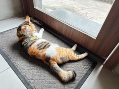 -Again Coffee Roaster(香蜜湖店)