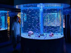 -海合安成都极地海洋公园