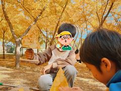 -森林公园(尖草坪区)