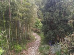 -仙霞关景区