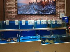 水产区-姜君·千岛湖鱼头馆(浦东大道店)