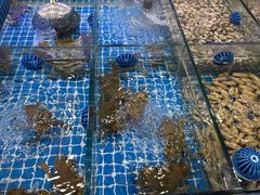 -木木鲜海鲜面(天一店)