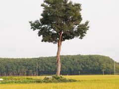 -嘉北郊野公园