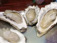 -蚝堡海鲜·威海菜·海肠捞饭·烧烤·亚洲吃蚝公司(幸福门店)