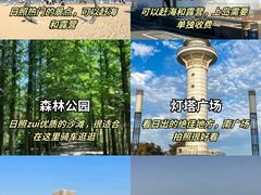 -日照海滨国家森林公园