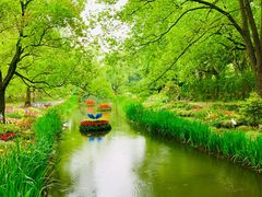 -上海共青森林公园