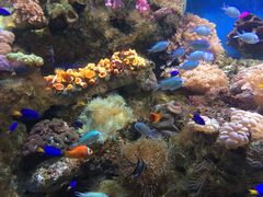 -海合安青岛极地海洋公园