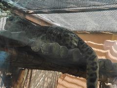 -青藏高原野生动物园