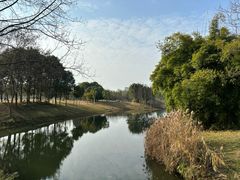 -眉山湿地公园(东坡区)