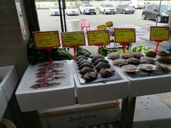-蚝专家(北滘店)