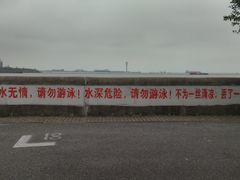 -上海滨江森林公园