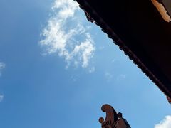 -深圳仙湖植物园